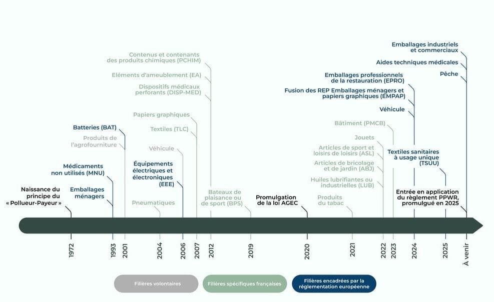 Infographie-Fillières-REP-RMe