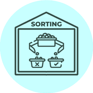 Sorting test